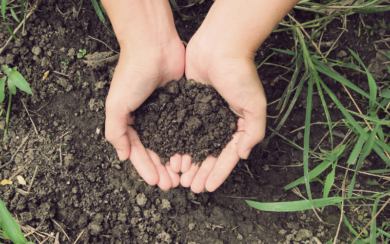 Tailgate  |  Biochar Field Day